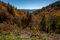 Smoky Mountains Fall 2015